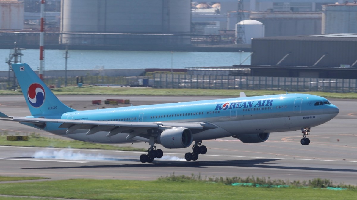 A330とは？特徴・乗り心地・快適性をわかりやすく解説