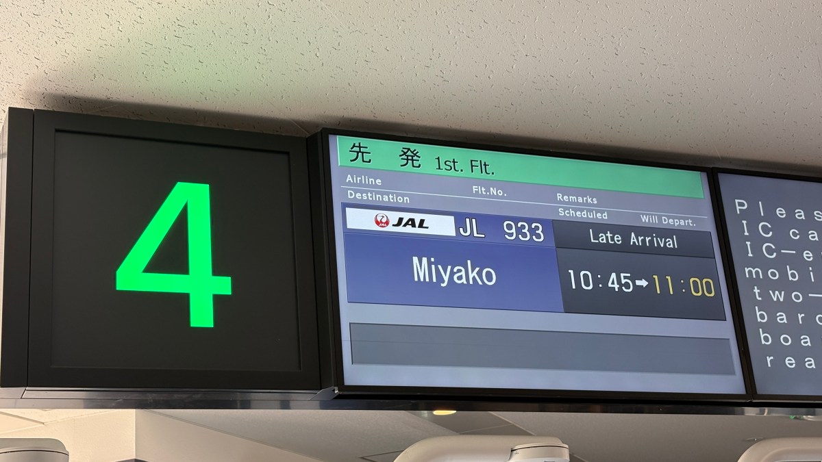 【2026年最新】東京ー宮古島の飛行機はどこがいい？JAL・ANA・スカイマークを徹底比較！直行便の料金と空港の違いを解説